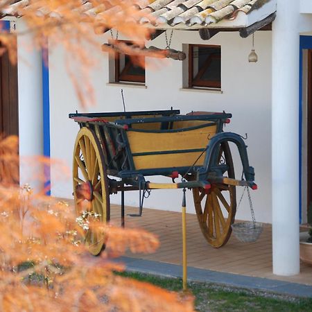 Quinta Do Rio Country Inn Silves Kültér fotó