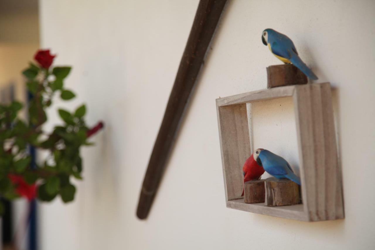Quinta Do Rio Country Inn Silves Kültér fotó