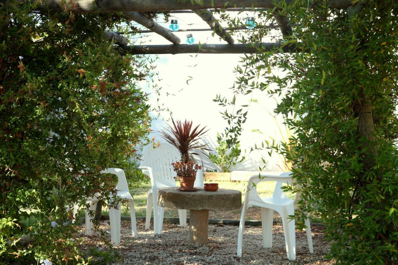 Quinta Do Rio Country Inn Silves Kültér fotó